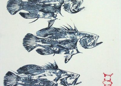 Eliza Dennis Fish Art Prints